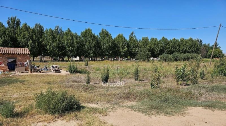 Lerida - Alcarràs - 14850m2