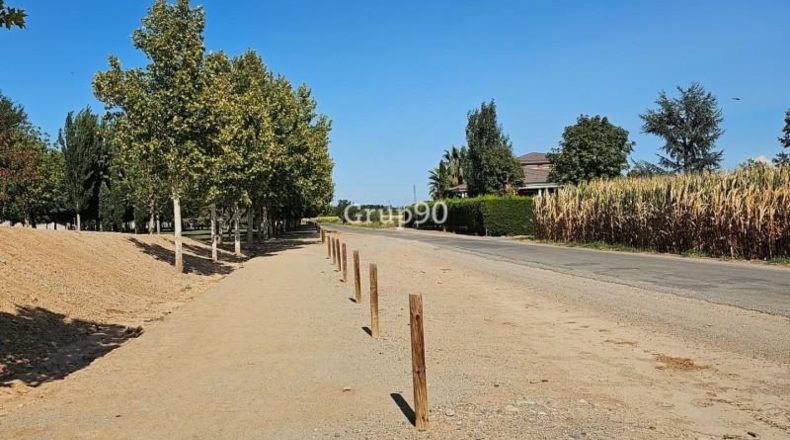 Lerida - Alcarràs - 14850m2