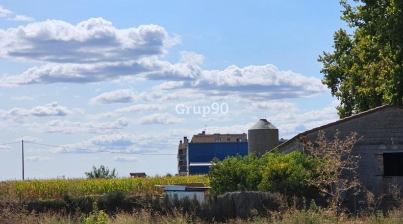 Lerida - Alcarràs - 14850m2