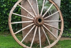 Foto 5