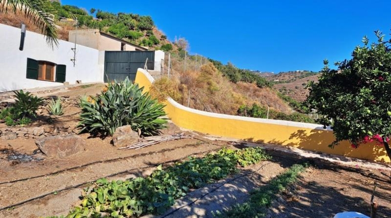 Malaga - Torrox - 32000m2