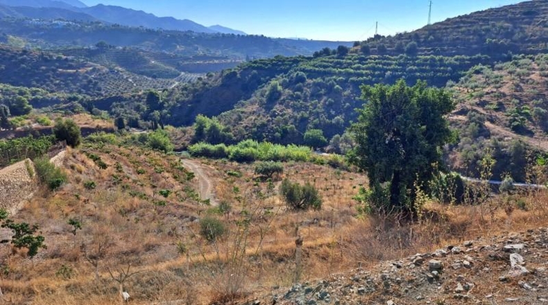 Malaga - Torrox - 32000m2