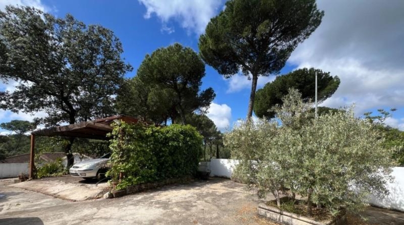 Cordova - Encinarejo de Córdoba - 257m2