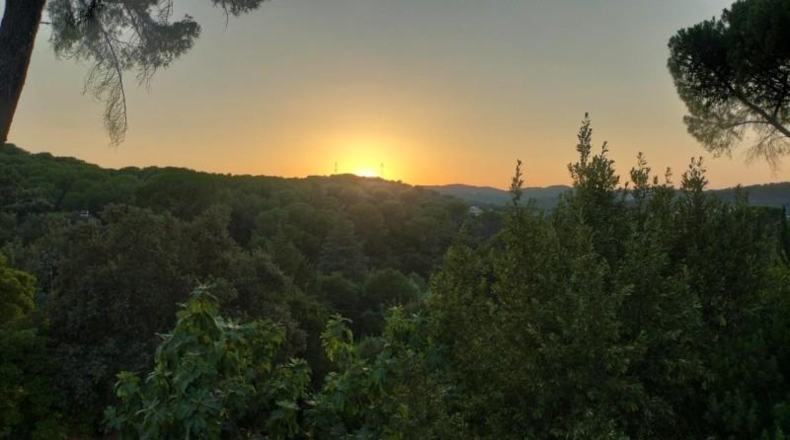 Cordova - Encinarejo de Córdoba - 257m2