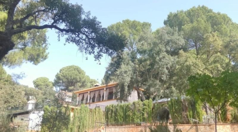 Córdoba - Córdoba - 1800m2