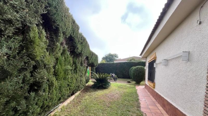 Seville - Palomares del Río - 548m2