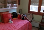 Chalet independiente con terreno en venta en la España, Dosrius, ref: TR380350 foto