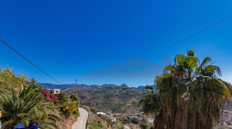 Málaga - Sayalonga - 1233m2