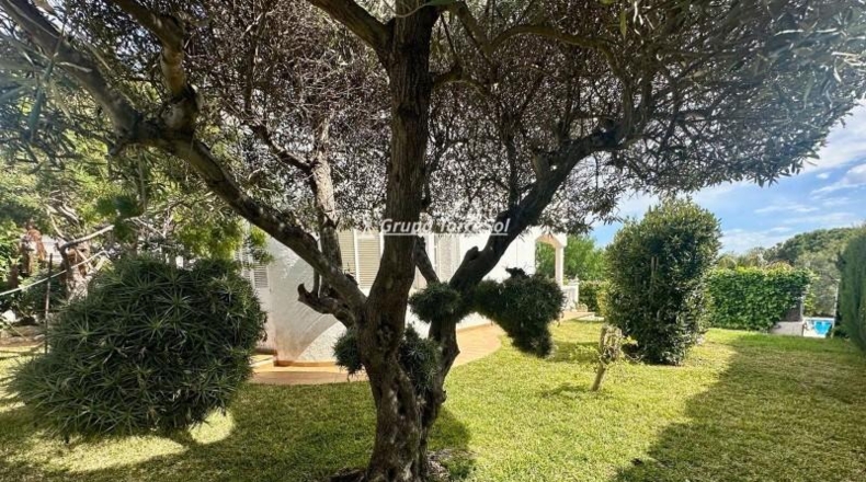 Tarragona - el Vendrell - 800m2