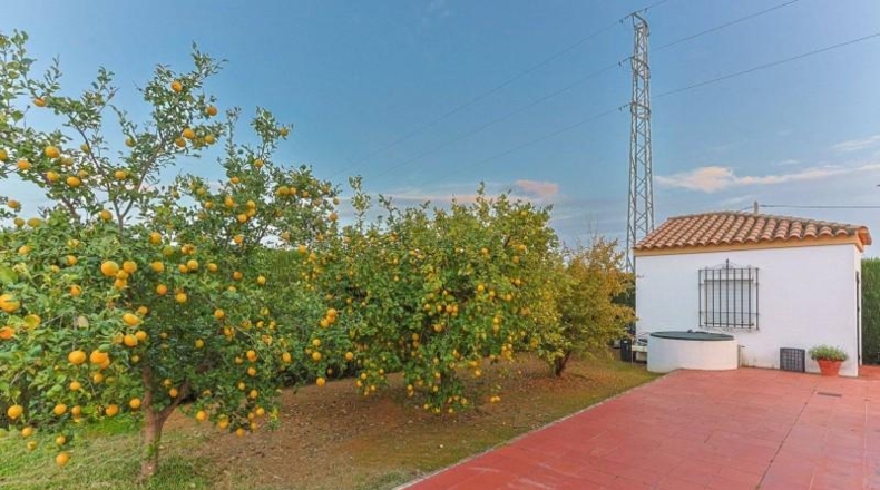 Sevilla - Sanlúcar la Mayor - 5000m2