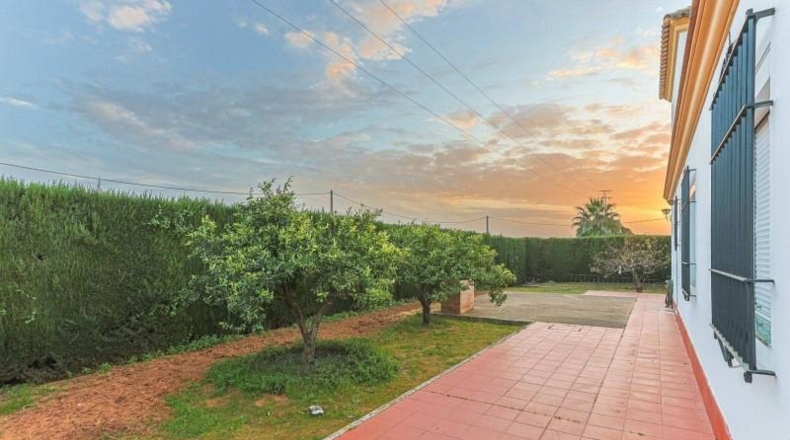 Sevilla - Sanlúcar la Mayor - 5000m2
