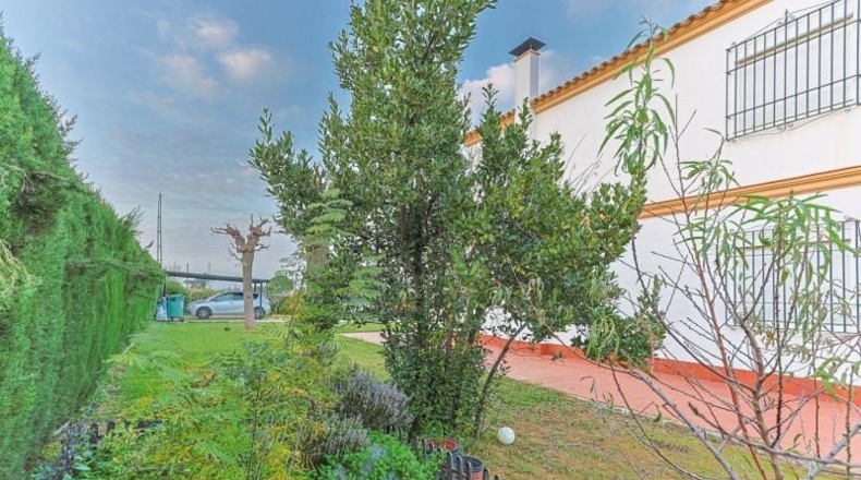 Sevilla - Sanlúcar la Mayor - 5000m2
