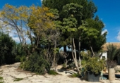 Chalet independiente con terreno en venta en la España, Mazarrón, ref: TR388028 foto