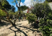 Chalet independiente con terreno en venta en la España, Mazarrón, ref: TR388028 foto