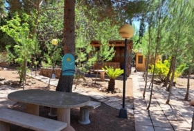 Foto 13