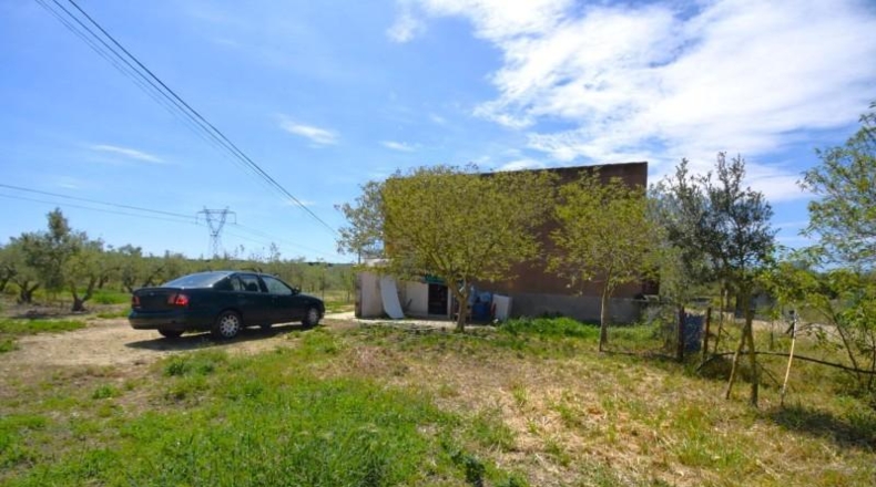 Islas Baleares - Muro - 8302m2