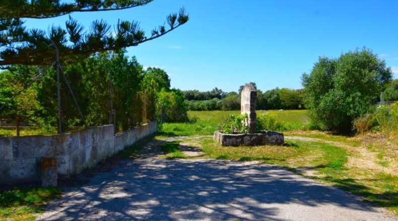 Islas Baleares - Muro - 8302m2