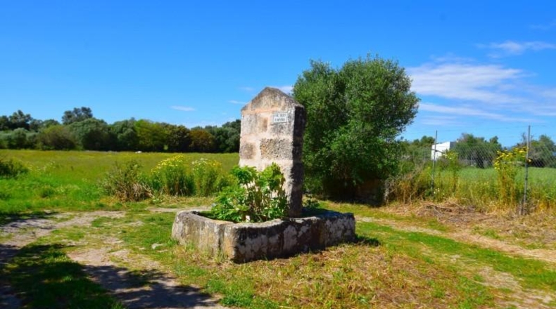 Islas Baleares - Muro - 8302m2