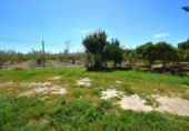 Detached villa with land for sale on España, Muro, ref: TR404211 photo