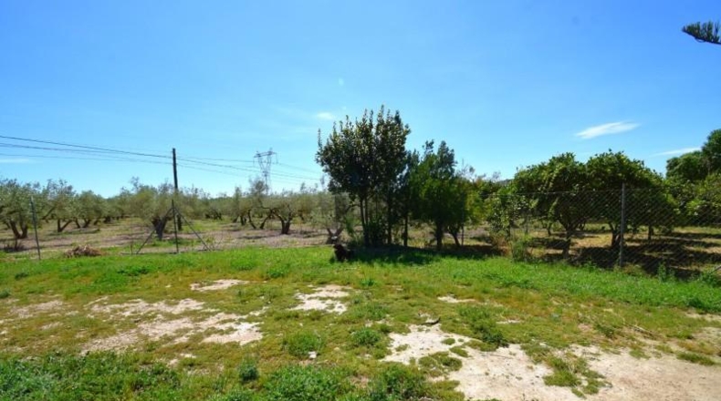 Islas Baleares - Muro - 8302m2