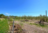 Detached villa with land for sale on España, Muro, ref: TR404211 photo