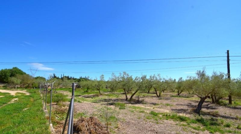 Islas Baleares - Muro - 8302m2