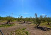 Detached villa with land for sale on España, Muro, ref: TR404211 photo