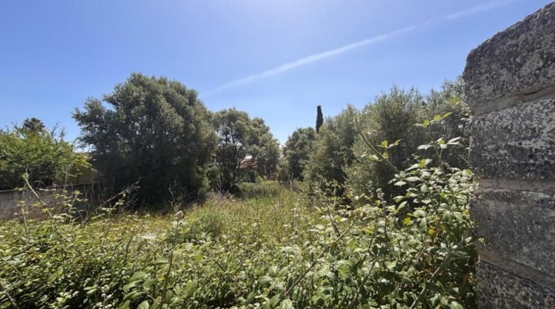 Illes Balears - Lloseta - 621m2