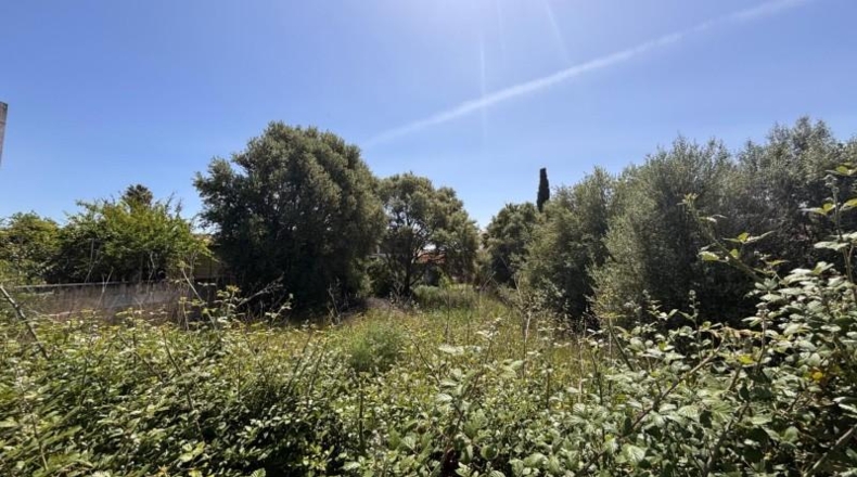 Illes Balears - Lloseta - 621m2