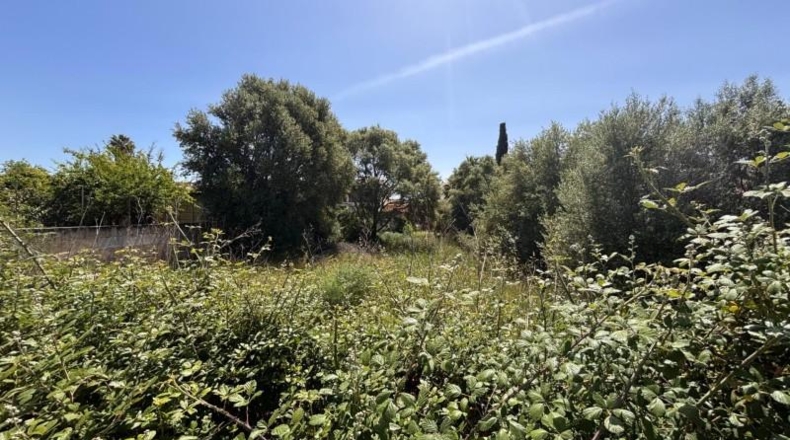 Illes Balears - Lloseta - 621m2