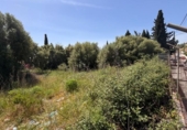 Suelo urbano en venta en la España, Lloseta, ref: TR406590 foto