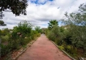 Chalet independiente con terreno en venta en la España, Alcolea, ref: TR380312 foto