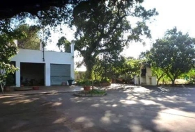 Foto 13