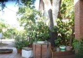 Chalet independiente con terreno en venta en la España, Alcolea, ref: TR380312 foto