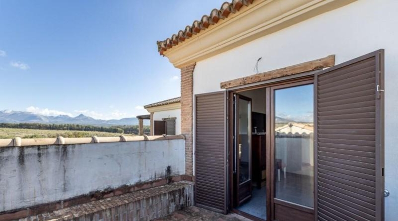 Granada - Atarfe - 800m2