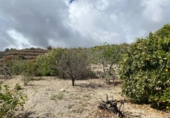 Chalet independiente con terreno en venta en la España, Granadilla de Abona, ref: TR409936 foto