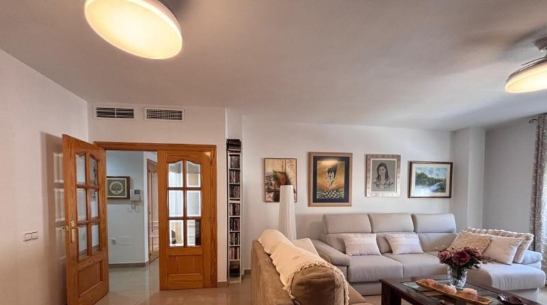 Murcia - Molina de Segura - 382m2