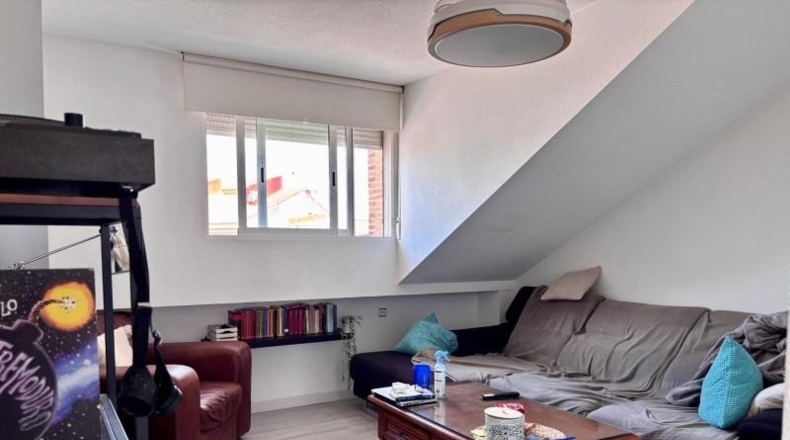 Murcia - Molina de Segura - 382m2