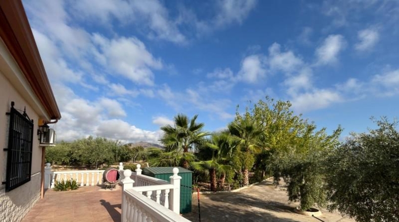 Alicante - Novelda - 6330m2