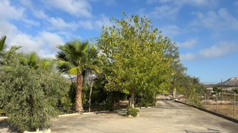 Alicante - Novelda - 6330m2