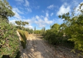 Chalet independiente con terreno en venta en la España, Novelda, ref: TR382982 foto
