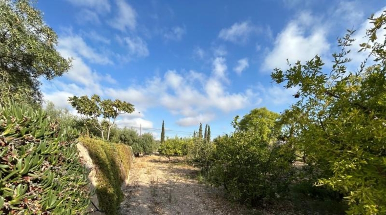 Alicante - Novelda - 6330m2