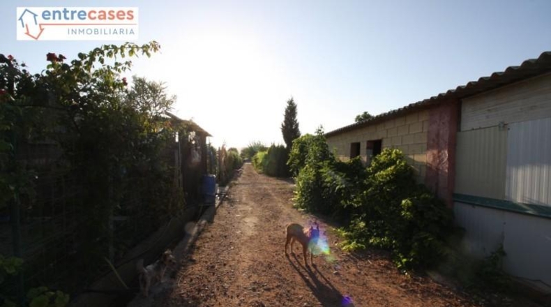 València - Sagunt - 5500m2