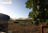 Casa de campo con terreno en venta en la España, Sagunto, ref: TR181740 foto