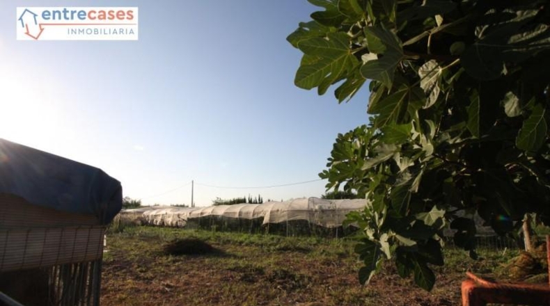 València - Sagunt - 5500m2