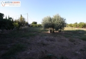 Casa de campo con terreno en venta en la España, Sagunto, ref: TR181740 foto