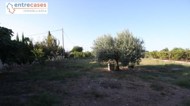 València - Sagunt - 5500m2