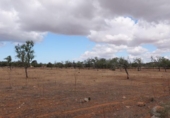 Terreno no urbanizable en venta en la España, Ses Salines, ref: TR386714 foto