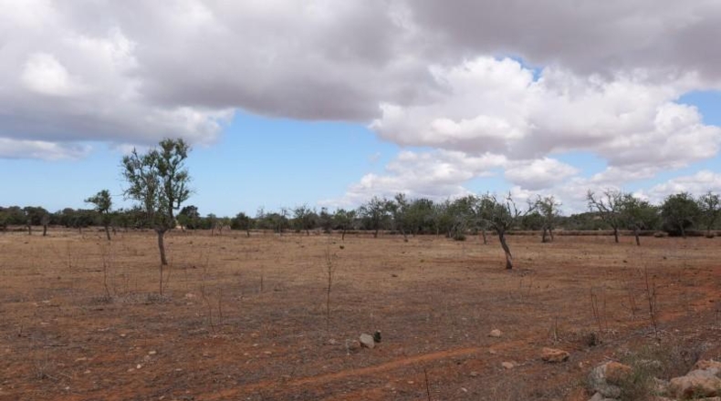 Islas Baleares - Las Salinas - 16000m2