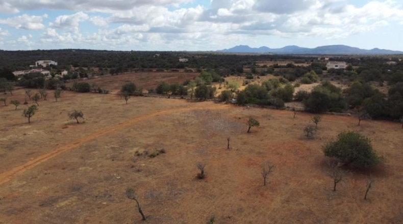 Islas Baleares - Las Salinas - 16000m2